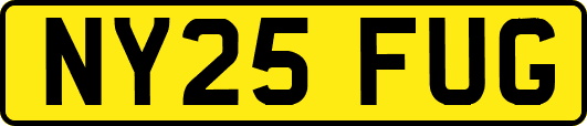 NY25FUG