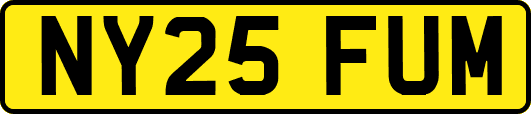 NY25FUM