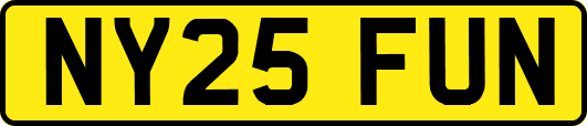 NY25FUN