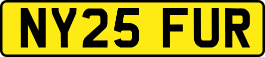 NY25FUR