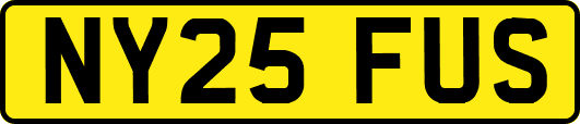 NY25FUS