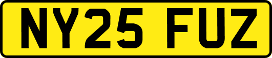 NY25FUZ