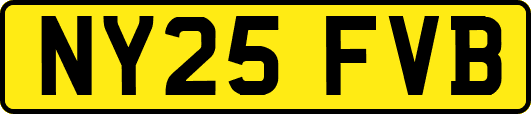 NY25FVB