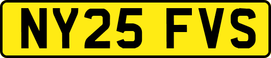 NY25FVS
