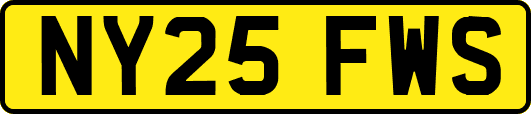 NY25FWS