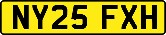 NY25FXH