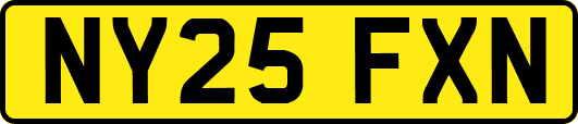 NY25FXN
