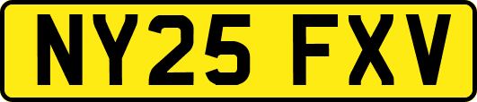 NY25FXV