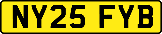 NY25FYB