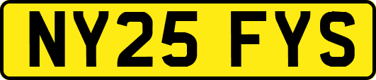 NY25FYS