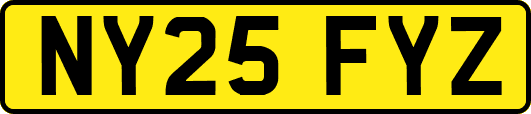 NY25FYZ