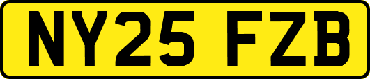 NY25FZB