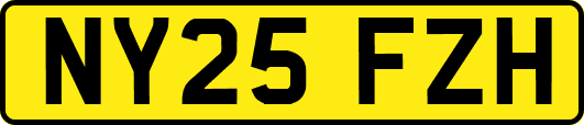 NY25FZH