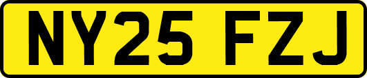 NY25FZJ