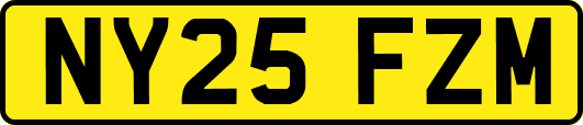 NY25FZM