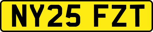 NY25FZT