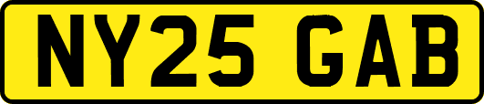 NY25GAB