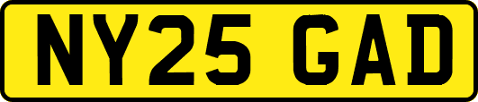 NY25GAD