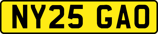 NY25GAO