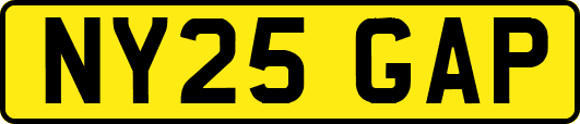 NY25GAP