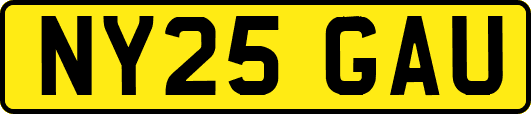 NY25GAU