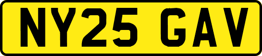 NY25GAV