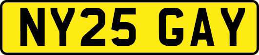 NY25GAY