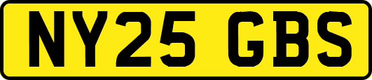 NY25GBS