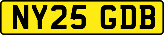 NY25GDB