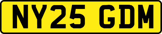 NY25GDM