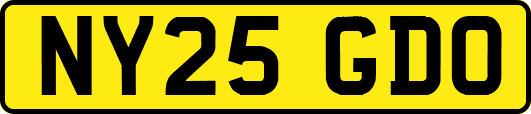 NY25GDO