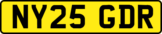 NY25GDR