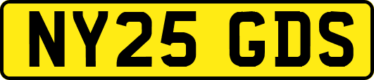 NY25GDS