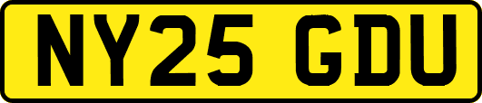 NY25GDU