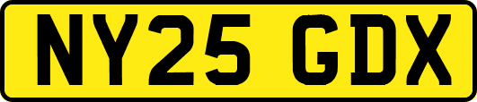 NY25GDX