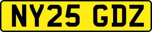 NY25GDZ