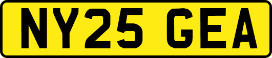 NY25GEA