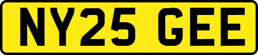 NY25GEE