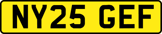 NY25GEF