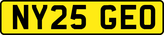 NY25GEO