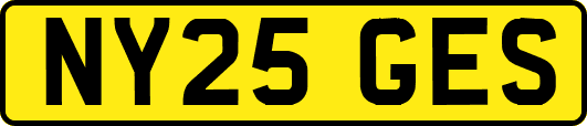 NY25GES