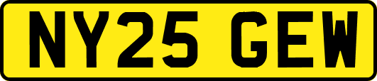 NY25GEW