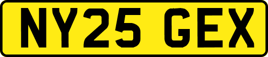 NY25GEX