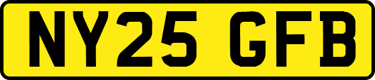 NY25GFB