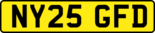 NY25GFD