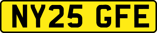 NY25GFE