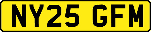 NY25GFM