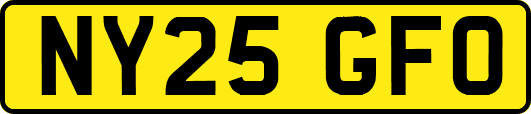 NY25GFO