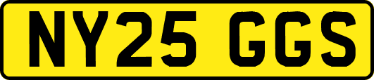 NY25GGS