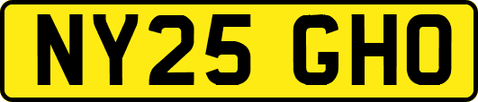 NY25GHO